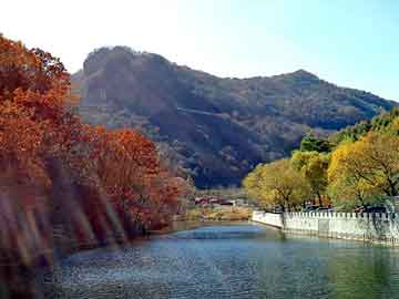 管家婆黑白马报图库，液压膨胀机